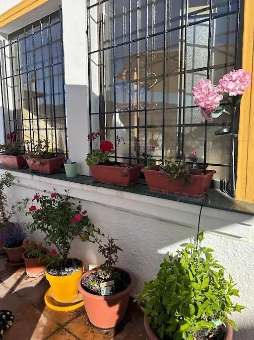 Authentic, Huge Terrace Sea & Mountain Views Villa Salobrena 0*,  Spain